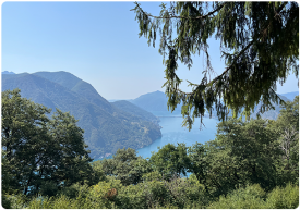 Monte-Bre-view